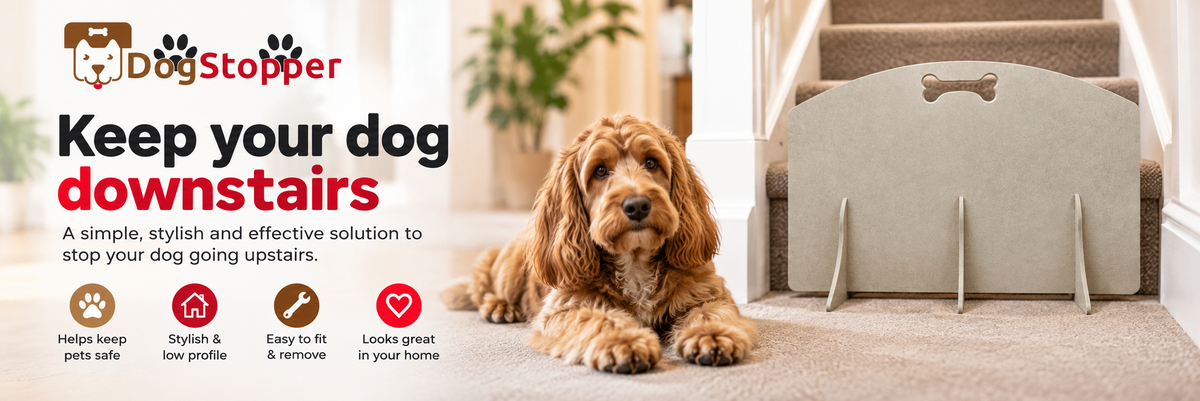 A brown hound-type dog lies on a carpeted indoor staircase while a light green dog stopper stair gate with a bone-shaped top detail stands in front of the stairs. The left side includes the Dog Stopper logo, marketing text, and feature icons.